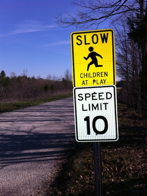 Photo of 10 MPH speed limit and 'SLOW: Children at Play' road signs on Bald Rock Fork Road