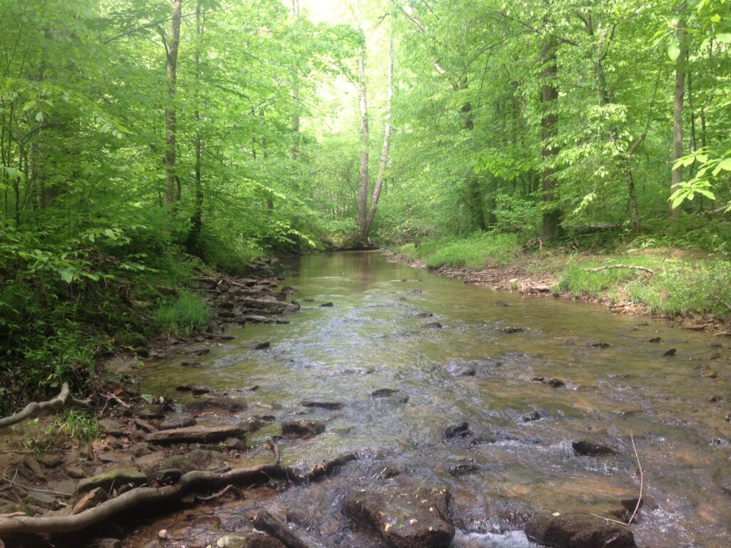 Natural habitat of the Kentucky Arrow Darter, Dr. Matt Thomas, KDFWR